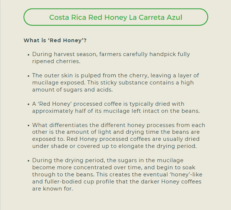 Premium Costa Rica - La Caretta Azul (Red Honey Processed) Coffee Beans