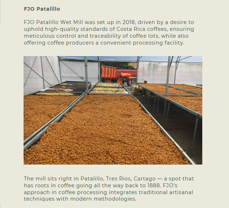 Premium Costa Rica - La Caretta Azul (Red Honey Processed) Coffee Beans