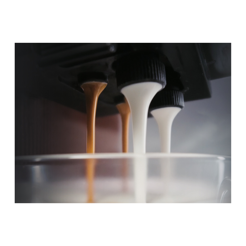 Dual Pump Parallel Dispensing System