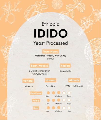 Premium Ethiopia - IDIDO (Yeast Processed) Coffee Beans