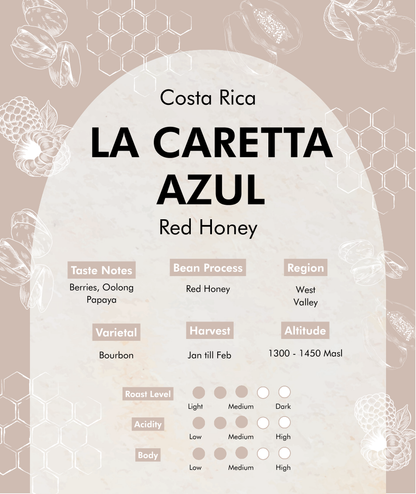Premium Costa Rica - La Caretta Azul (Red Honey Processed) Coffee Beans
