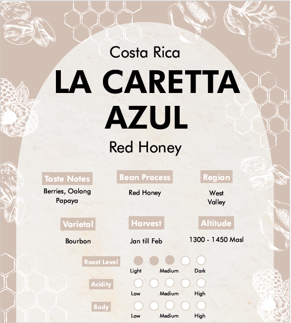 Premium Costa Rica - La Caretta Azul (Red Honey Processed) Coffee Beans
