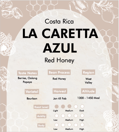 Premium Costa Rica - La Caretta Azul (Red Honey Processed) Coffee Beans