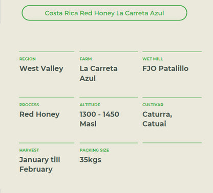 Premium Costa Rica - La Caretta Azul (Red Honey Processed) Coffee Beans