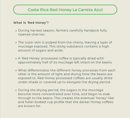 Premium Costa Rica - La Caretta Azul (Red Honey Processed) Coffee Beans