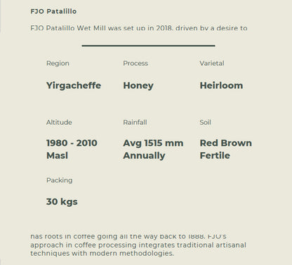 Premium Ethiopia - KOKE (Honey Processed) Coffee Beans