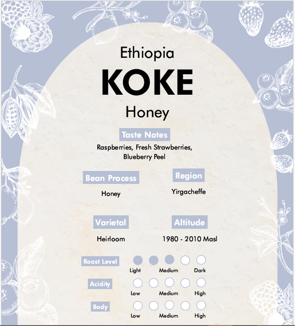 Premium Ethiopia - KOKE (Honey Processed) Coffee Beans